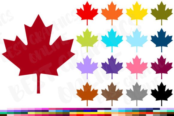 Download Maple Leaf Clipart Canadian Leaves Image - Premium Bundle